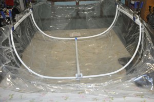 Canopy frame is positioned in the canopy bubble