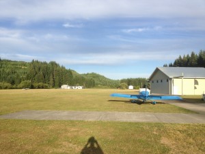 Vernonia Field